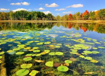 Iran’s Tourism Rebound Tied to Nature Restoration