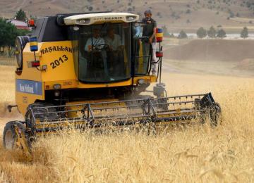 Food Supply Chains Withstood War Pressures, Minister Says