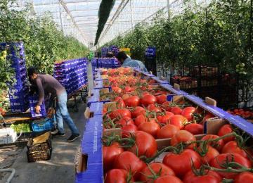 Tehran Eyes Agricultural Partnerships to Boost EAEU Trade, Investment