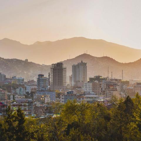 Afghanistan’s Digital Pull for Iranian Talent
