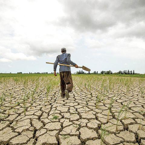 A Challenging Year for Iran’s Agriculture