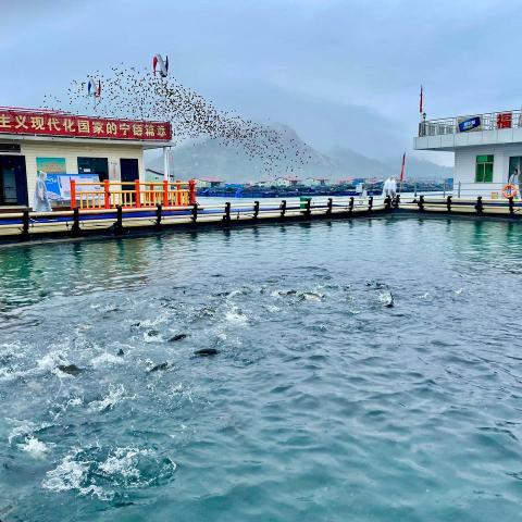 China’s Blue Revolution: What Iran Can Learn From Ningde’s Aquaculture Transformation