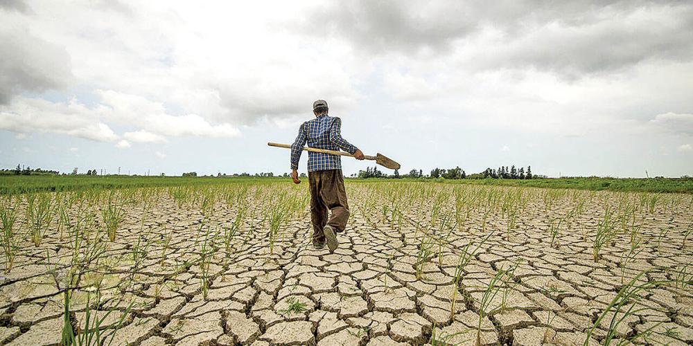 A Challenging Year for Iran’s Agriculture